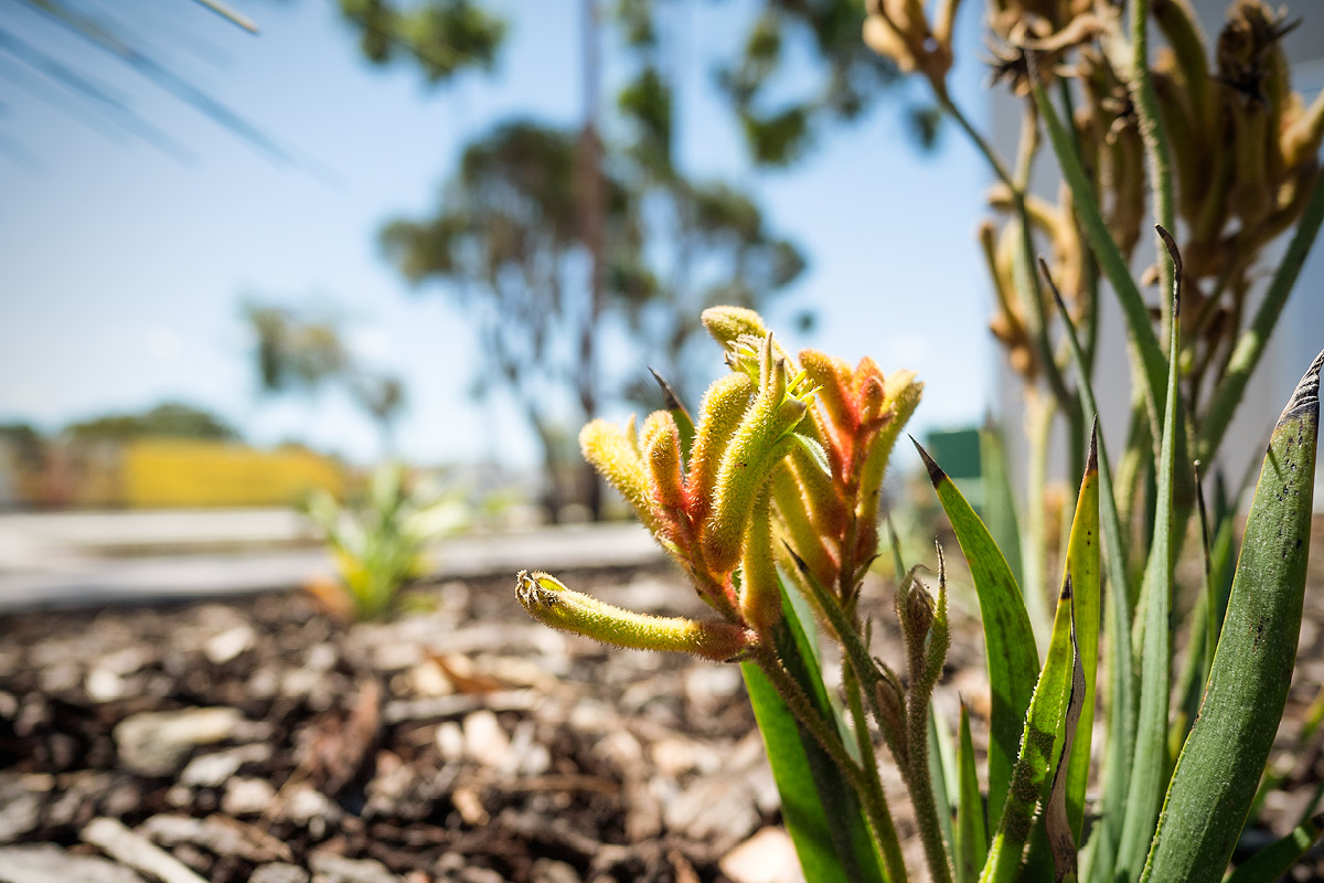 Southern River Shopping Centre Southern River Woolworths